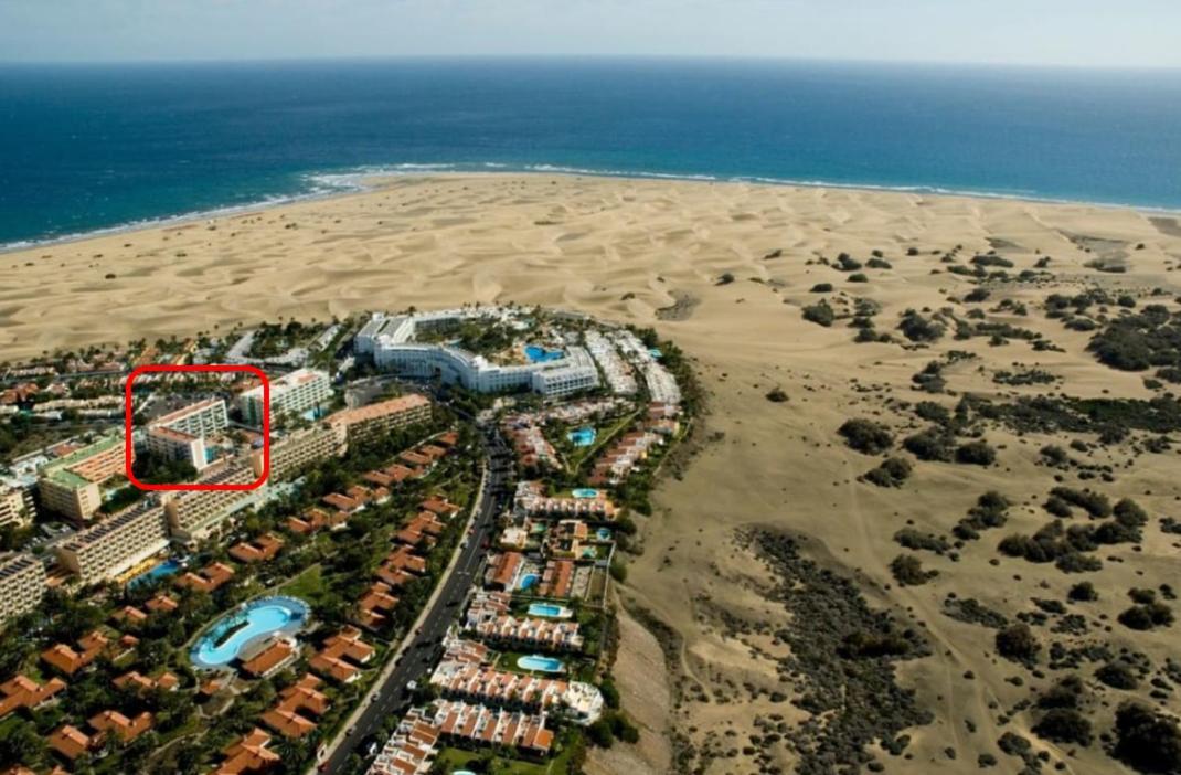 Apartment Palm Trees View Of The Dunes Playa del Inglés Esterno foto